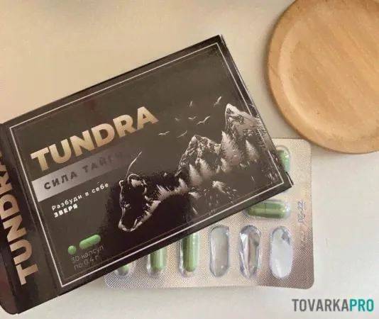 Тундра Сила Тайги: обзор препарата для повышения потенции-0
