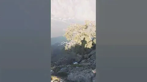 Единственный Можжевельник ( ялгыз Арча) на скале горы Кеклик- учара....