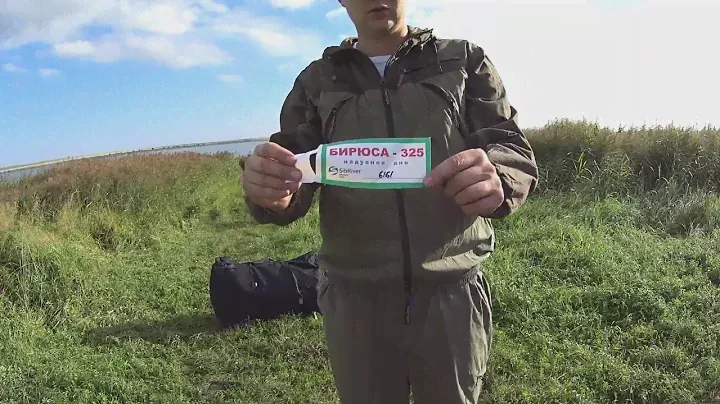 Лодка Бирюса 325