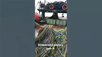 Туры по Камчатке)