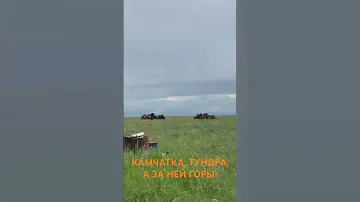 КАМЧАТКА, ТУНДРА,А ЗА НЕЙ ГОРЫ!