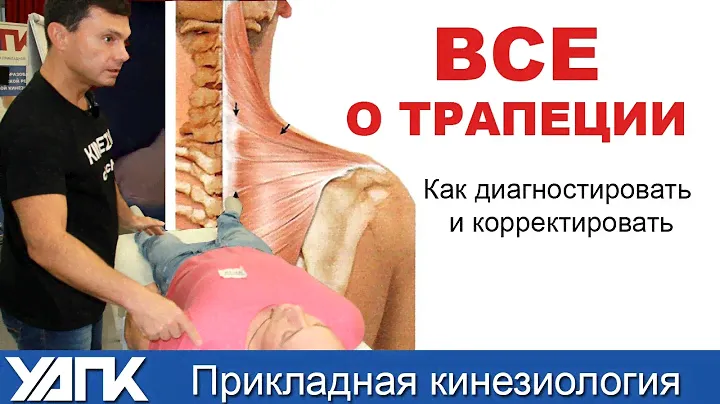 Все о трапециевидной мышце (Глеб Кирдогло)