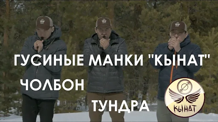 Звучание гусиных манков Кынат. Чолбон и Тундра. Белолобый гусь и гуменник