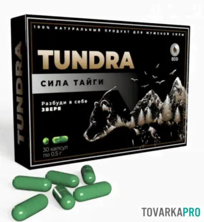 Тундра Сила Тайги: обзор препарата для повышения потенции-1