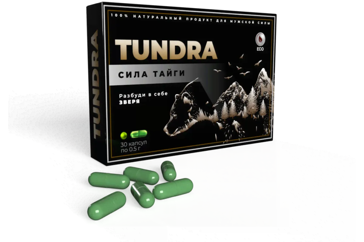 Тундра free