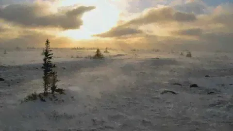 Squarepusher - Tundra 4 (Hiqh Quality)