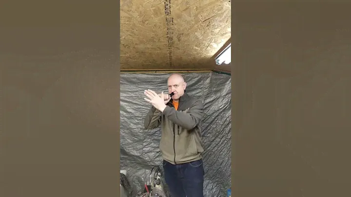 Владимир Тумашов манок на гуменника