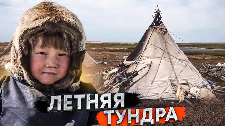 КАК ОЛЕНЕВОДЫ ЗАБИВАЮТ И РАЗДЕЛЫВАЮТ ОЛЕНЯ / ЛЕТНЯЯ ЖИЗНЬ КОЧЕВЫХ ОЛЕНЕВОДОВ В ЯМАЛЬСКОЙ ТУНДРЕ