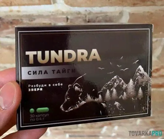 Тундра Сила Тайги: обзор препарата для повышения потенции-3