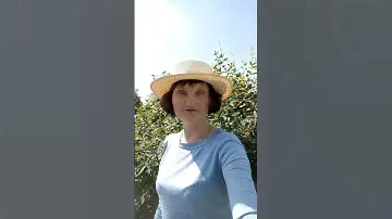 Жимолость высотой с дерево, вырастает через 8 лет.